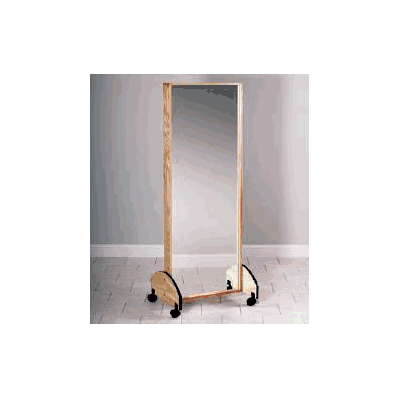 Glass Portable Mirror 26.5 X 72 X 21 Inch Alm