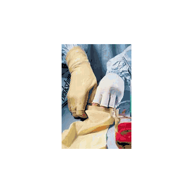 Glove Liner Berkshire* Bcr* Regular Polyester