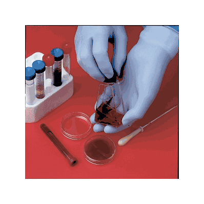 Glove, Pwder-free, Exam, N-dex, 4-mil, 9.5",