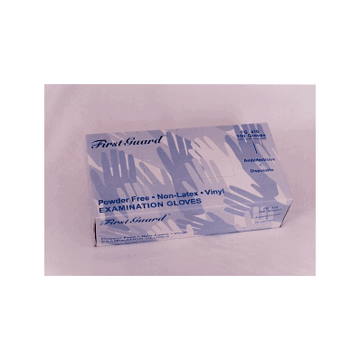 Glove, Vinyl, Powder-Free, Latex-Free, Xl, Fi