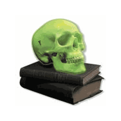 Glow in the Dark Skull Model