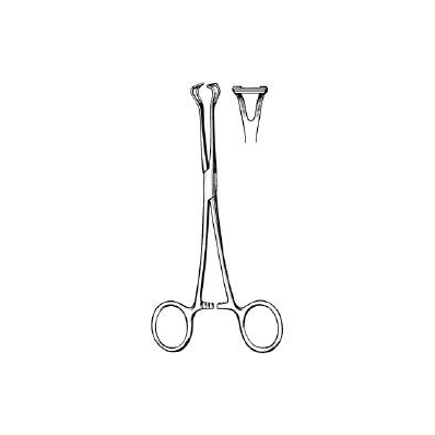 Grasping Forceps Babcock Scissor Type Straigh