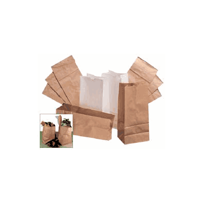 Grocery Paper Bag Brown Size 16 - Bag, Brown