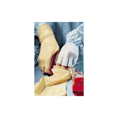 Half-finger Glove Liner Berkshire* Bcr* Regul