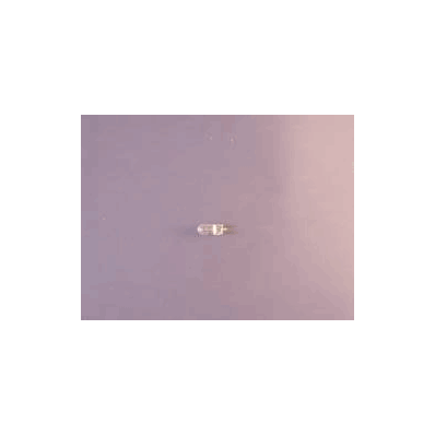 Halogen Lamp Ge 6 Volts 10 Watts - Lamp, Ge 6