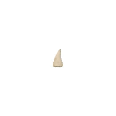 Hand Replacement Pad, for Laerdal IV Torso