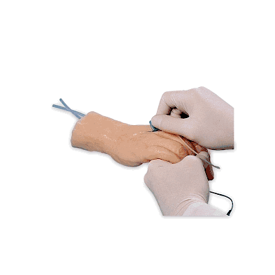 Hand, Training - Medline