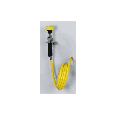 Handheld Drench Hose Fisherbrand Wall Mount