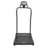 Handrail Scale, 1000 lbs. / 454 kg Capacity, 2-5/8" X 15-3/4" X 22 Step-On Platform, LCD Display,  Gray, sold as Each by Health O Meter 3001KL-AM-BT<br><br><font color="red"><b>BACK TO THE PRODUCT TABLE, <a href="https://www.aaawholesalecompany.com/diagnostic-instruments-and-supplies-scales-and-body-composition-analyzers-health-o-meter-platform-sc.html">CLICK HERE</a></b></font>