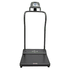 Handrail Scale, 1000 lbs. / 454 kg Capacity, 2-5/8" X 15-3/4" X 22" Step-On Platform, TFT Display, Black/Gray, sold as Each by Health O Meter 3001KL-AM<br><br><font color="red"><b>BACK TO THE PRODUCT TABLE, <a href="https://www.aaawholesalecompany.com/diagnostic-instruments-and-supplies-scales-and-body-composition-analyzers-health-o-meter-platform-sc.html">CLICK HERE</a></b></font>