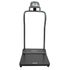 Handrail Scale, 454 kg Capacity, 2-5/8" X 15-3/4" X 22" Step-On Platform, LCD Display,  Gray / Black, sold as Each by Health O Meter 3001KG-AMUA<br><br><font color="red"><b>BACK TO THE PRODUCT TABLE, <a href="https://www.aaawholesalecompany.com/diagnostic-instruments-and-supplies-scales-and-body-composition-analyzers-health-o-meter-platform-sc.html">CLICK HERE</a></b></font>