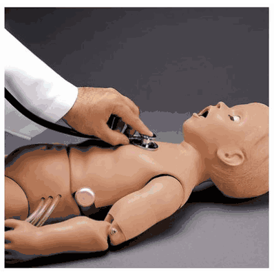 Heart & Lung Sound, 5-year, light
