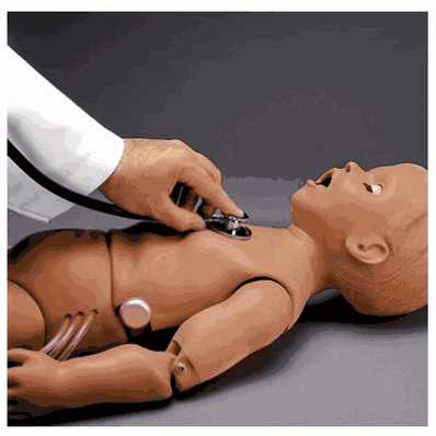 Heart & Lung Sound, 5-year, medium
