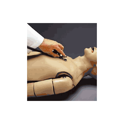 Heart And Lung Sounds Mannequin - Mannequin,