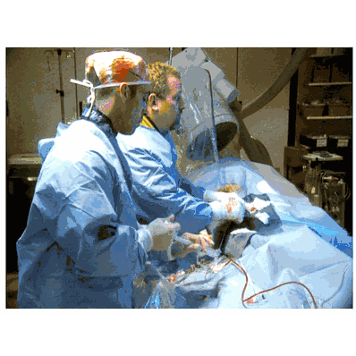 Heart Disease Treatment Set