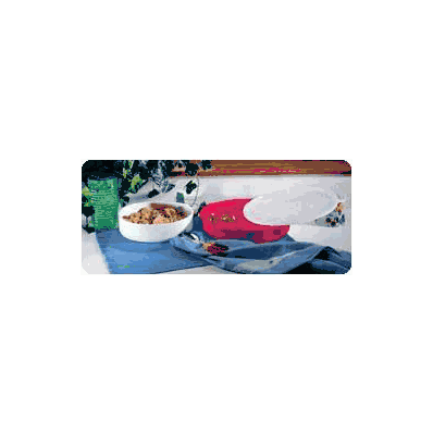 High Side Divided Dish Blue Polypropylene - P