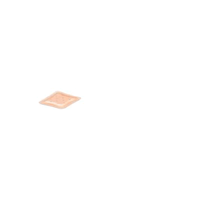 Hydrocolloid Dressing Allevyn Ag 3 X 3 Inch -