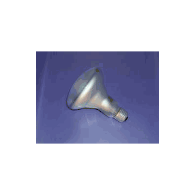 Incandescent Lamp Feit Electric 120 Volts 65