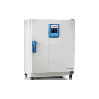 Incubator, Microbiological Dual Convection 60