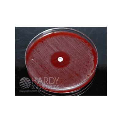 Indentification Disk, 1 mg disc Potency, 50 Disks Gardnerella vaginalis / Peptostreptococcus anaerobius / Haemophilus ducreyi