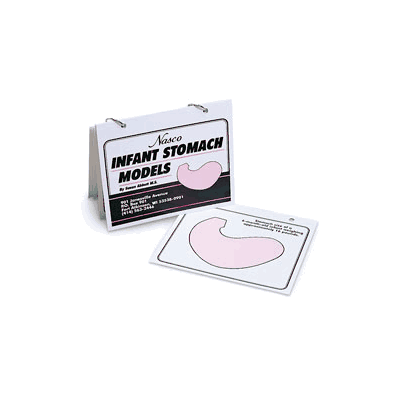 Infant Stomach Models, 6" x 7" Flip Chart