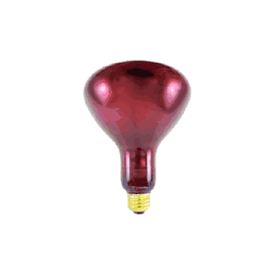 Infrared Lamp 175 W - Lamp, Infrared Ruby 175