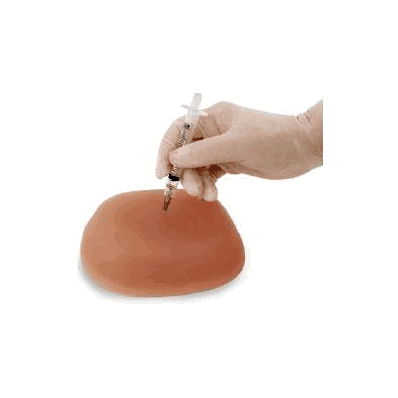 Injection Teaching Model, 6" x 4-3/4" x 1-3/4"