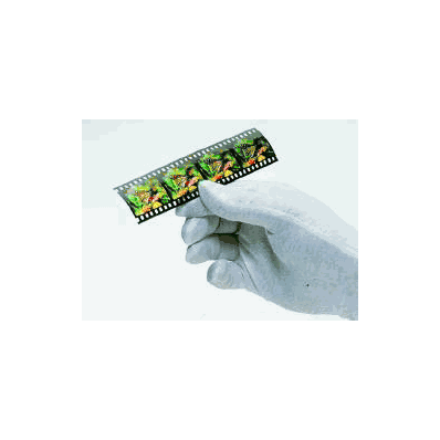 Inspection Glove Cleanteam Nonsterile Powder