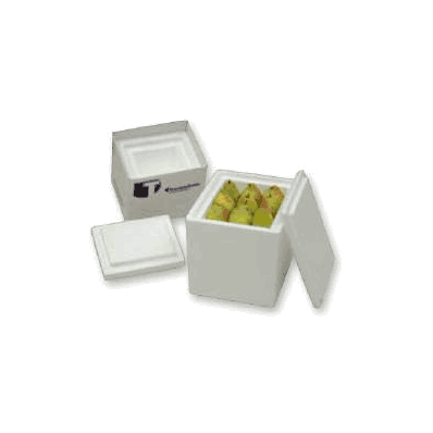Insulated Shipper Thermosafe 11 X 11 X 11-5/