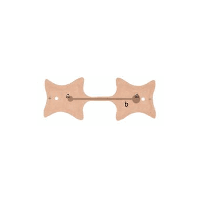 Iontopatch Sp Iontophoresis Electrode Iontop
