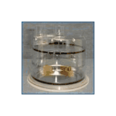 Kit, Cpap Humid Chamber - - Fisher & Paykel