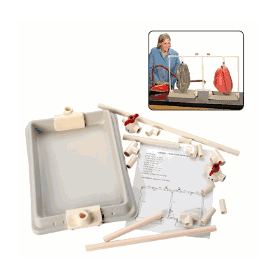 Dual Lung Rack Update Kit