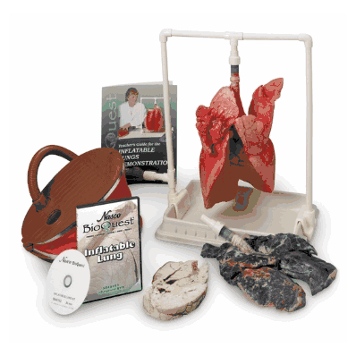 Lung Kit & Teachers Video