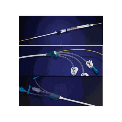 Kit, Introducer 9F Percutaneous