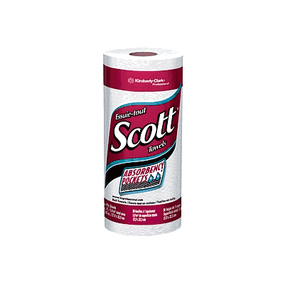 Kitchen Paper Towel, 11" x 8.78", 9"Diameter
