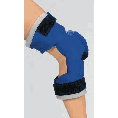 Knee Cap - Large for 37KCO - Restorative