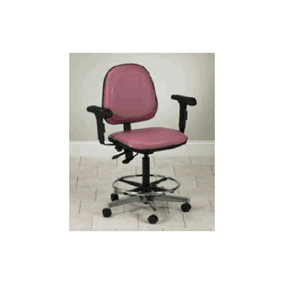 Lab Stool Specialty Seating Backrest 5 Caster