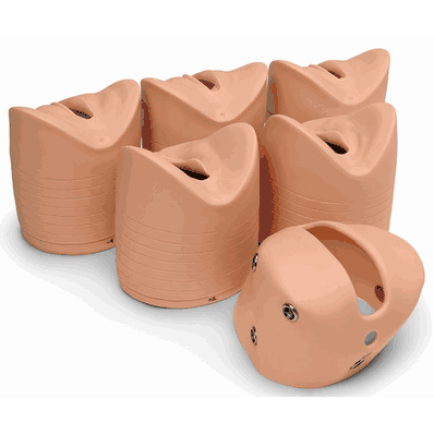 Labor Delivery Module, Light