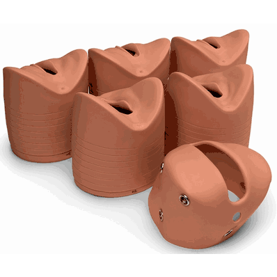 Labor Delivery Module Medm
