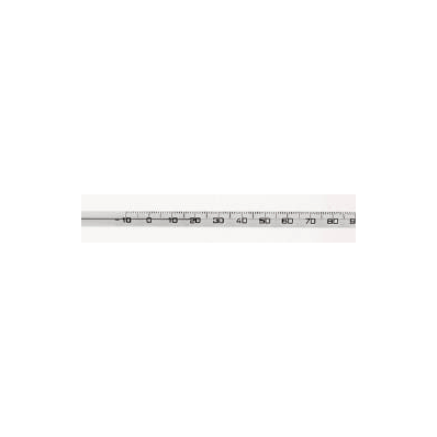 Laboratory Thermometer Fisherbrand Ever-safe
