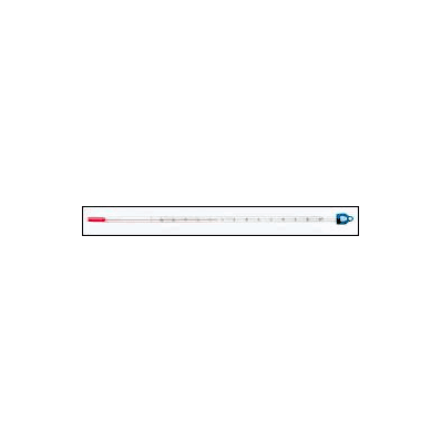Laboratory Thermometer Fisherbrand - Thermom