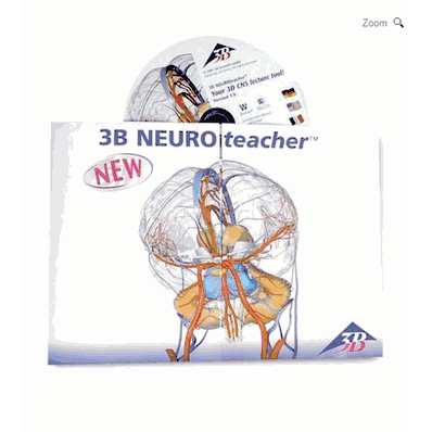 NEUROTeacher Lecture tool, Network Version
