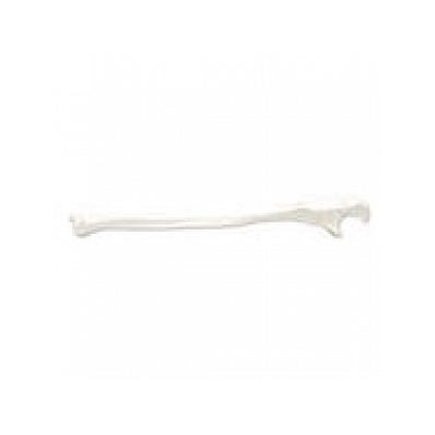Left Ulna