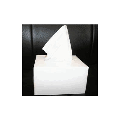 Lens Cleaning Paper Any Microscope - Paper, L
