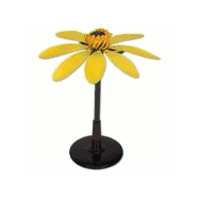 Lesser Celandine Flower, enlarged 10x life-size