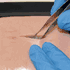 LifeLike BioTissue Double Layer Skin, sold as each by Nasco SB48846<br><br><font color="red"><b>BACK TO THE PRODUCT TABLE, <a href="https://www.aaawholesalecompany.com/nasco-nursing---medical-simulation-breast-phantom-simulator.html">CLICK HERE</a></b></font>