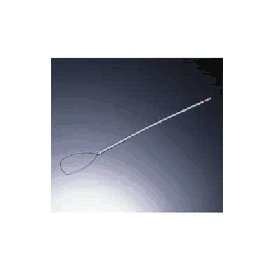 Ligature Endoloop - Ligature, Endoloop W/Pdsi