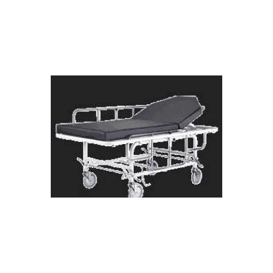 Litter Pad 58-3/4 L X 23 W X 1.5 Inch - Pad,