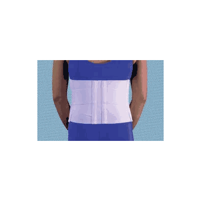 Lumbar / Abdomen Support Medium - Back Suppor