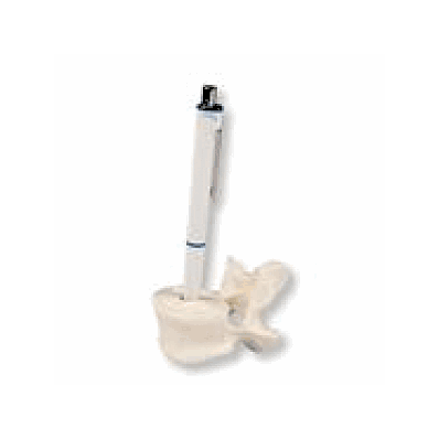 Lumbar Penholder